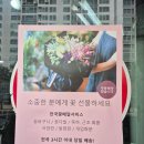 사우사거리 | [춘천 꽃집] 우두동 봄내화원, 사우사거리 우두동 꽃집 꽃다발 구매 추천 후기