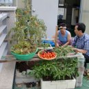 본촌주유소 이미지