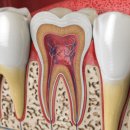 우가주치과의원 이미지