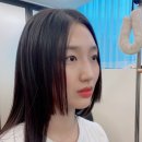 마스타카랜드 이미지