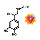 전주바로병원 이미지