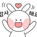 주성포장 이미지