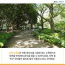 한라수목원 이미지