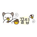 삼성화이트피부과의원 네이버블로그