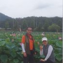 경남함안 백이산숙제봉 (군북역/숙제봉둘래길/공룡발자국/약수터/숙제봉/백이산/군북역(연꽃테마파크) 이미지