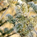 와와숯불갈비 이미지