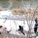 입춘허브 이미지