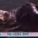해달기획 이미지
