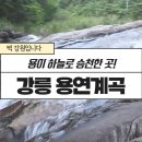 [한국의 자연명승] 강릉 용연계곡 일원 이미지