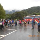 산정온누리약국 이미지