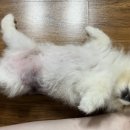 여주-0912 네이버블로그