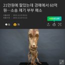 21만원에 팔았는데 경매에서 60억원…소송 제기 부부 패소 이미지