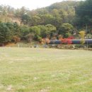 금학산 목장 이미지