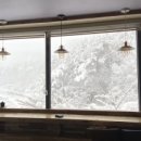 스테이523 이미지