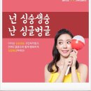 늑대와여우결혼정보 이미지