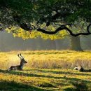 태릉입구역 3번출구 버스정류장 이미지