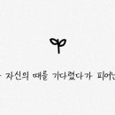 꽃을주는사람 이미지