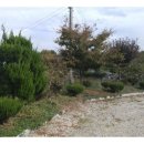 금마면-02 이미지