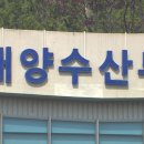 (사)한국해운협회 이미지