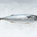 이화식품 이미지