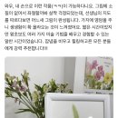 보태니컬아트 | 🌿나를 위한 3시간의 선물, 미란 아뜰리에 보태니컬 아트 원데이 클래스 후기