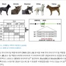 진도견나라 | &#39;한국 진도견의 심층 염기서열분석을 통한 진돗개 모색 변화의 진화 궤적 규명’ 논문 결과 리뷰 1...