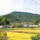 가락생태공원(2) 이미지