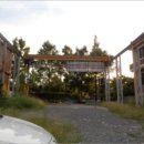 사파동296 이미지