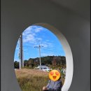스테이 하담담 네이버블로그