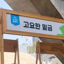 DDP 디자인마켓 플리마켓 후기, 매출, 준비, 꿀팁까지