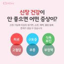 신장