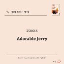 BICHON KOREA 이미지