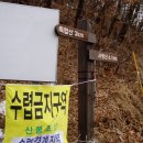 바람불이펜션 | 양구 사명산 겨우살이