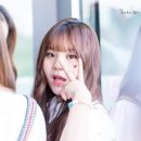 엄지 이미지