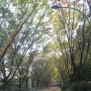 연희동자치회관 이미지