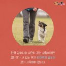 착한강아지 이미지