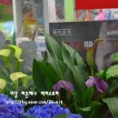 꽃방카라 이미지