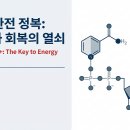 나이아신아마이드, 역노화 세포재생을 위한 NAD+의 원천입니다 이미지