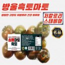토마토 이미지
