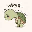 [방배동 PT] 거북목 • 말린 어깨 체형 교정 맛집! 1:1 맞춤 전문 운동 '랄라짐' 솔직 후기