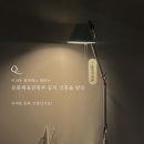 필라테스;단 이미지