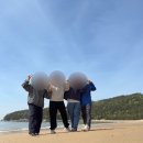 익금해수욕장1 | 고흥 2박3일 여행(3일차)_익금해변, 남녘들밥상, 조훈모과자점, 순천만 국가정원