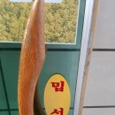 물오름 이미지