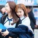 채원 이미지