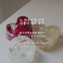블루밍메모리 이미지