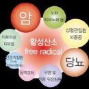 수란 이미지