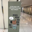상암동 카페 도프커피 DDMC점