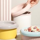 모던켄넬 이미지