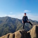 팔봉김밥 이미지