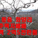 동읍495 이미지